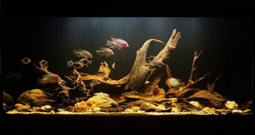 How to Tie Down Wood in an Aquarium