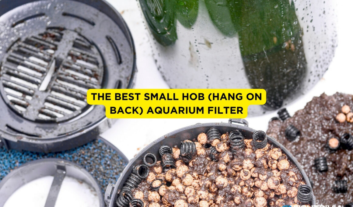7 Best Small Hob (Hang on Back) Aquarium Filter