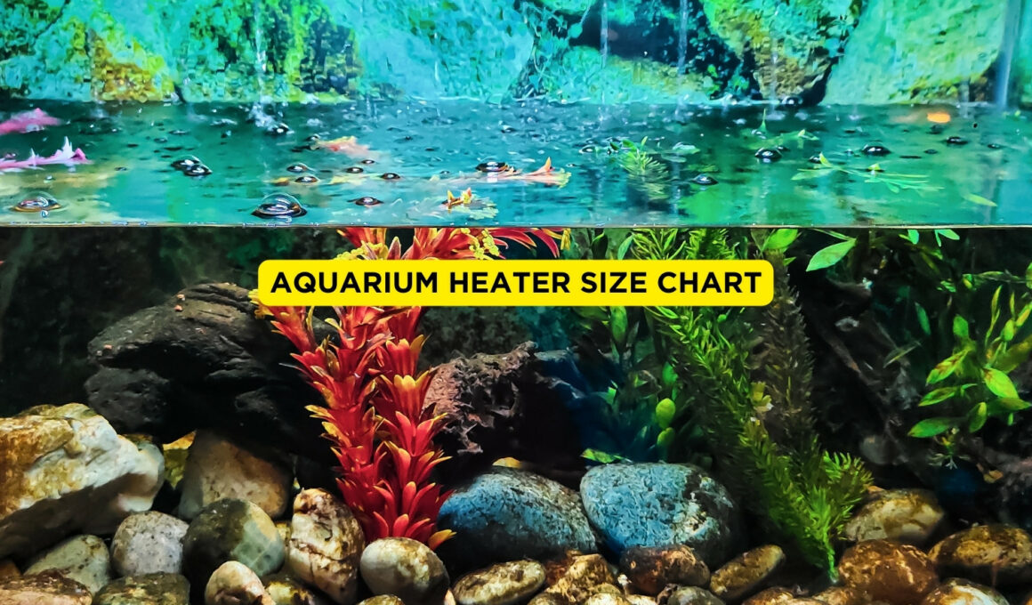 Aquarium Heater Size Chart