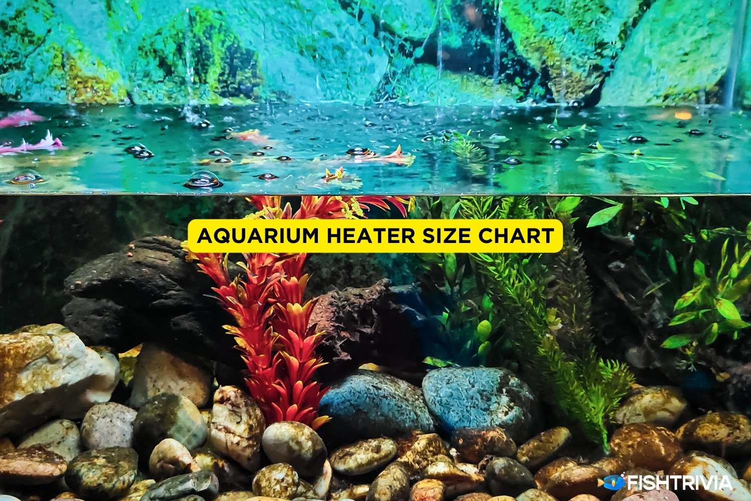 Aquarium Heater Size: What Size Heater Do You Need?