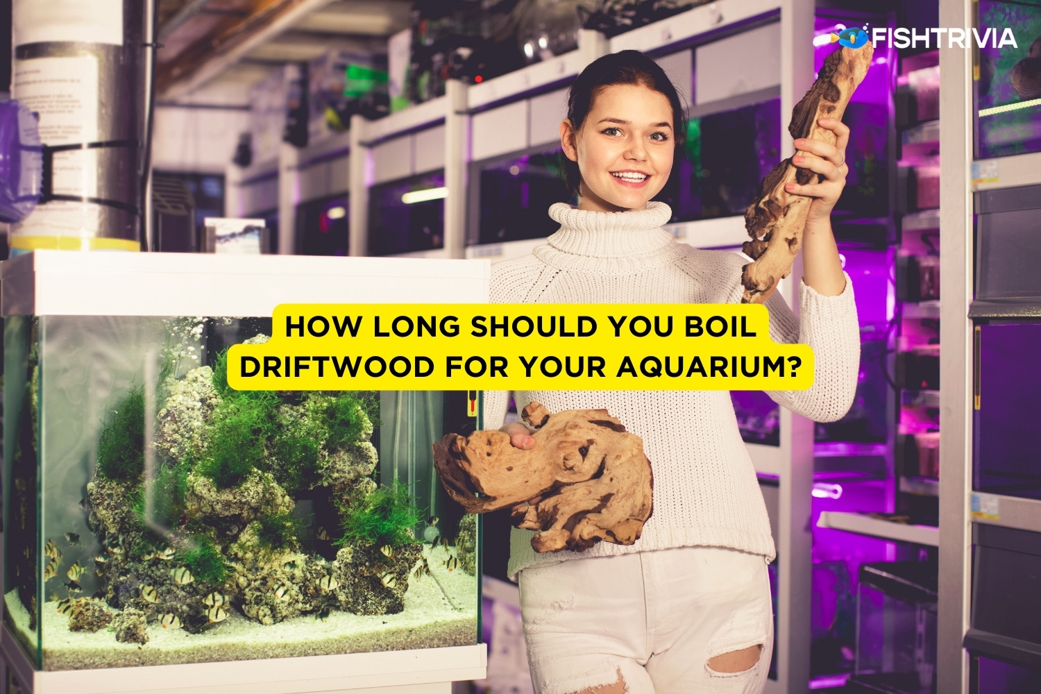 How Long Should You Boil Driftwood For Your Aquarium? FishTrivia