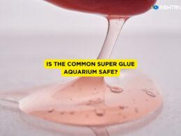 Is The Common Super Glue Aquarium Safe