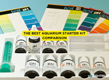 The Best Aquarium Starter Kit Comparison