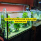 The best filter for 10 gallon aquariums