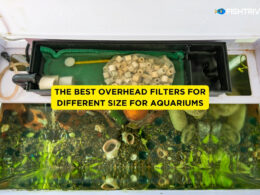 best overhead filters for different size for aquariums