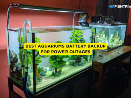 Best Aquariums Battery Backup for Power Outages