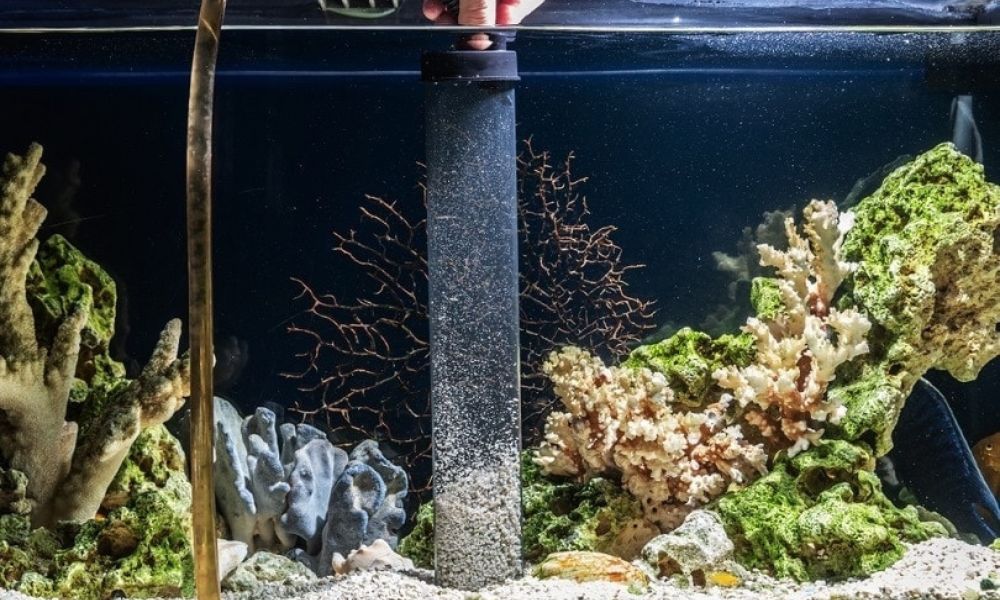aquarium overhead filter