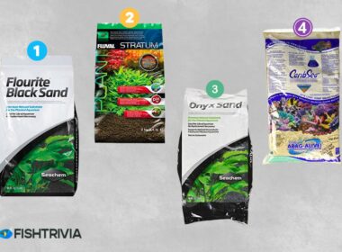 Best Substrate for Planted Fish Tanks